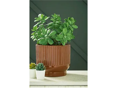 Avalyah Vase (Set of 2)