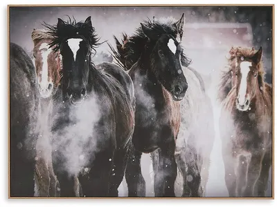 Chaseburn Wall Art