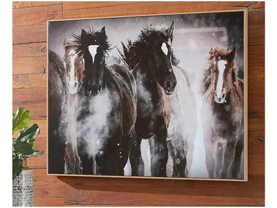 Chaseburn Wall Art