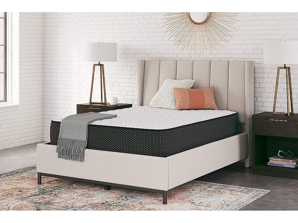 Limited Edition Firm Queen Mattress - image 4
