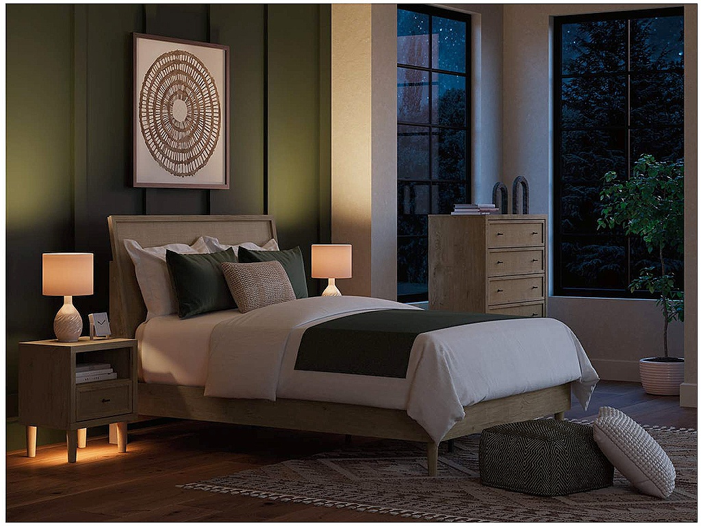 Cielden Queen Panel Bed - image 10
