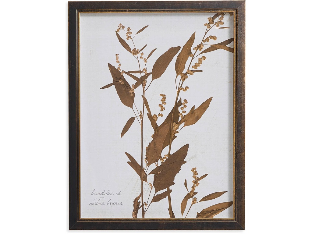 Sepia Branches - main image