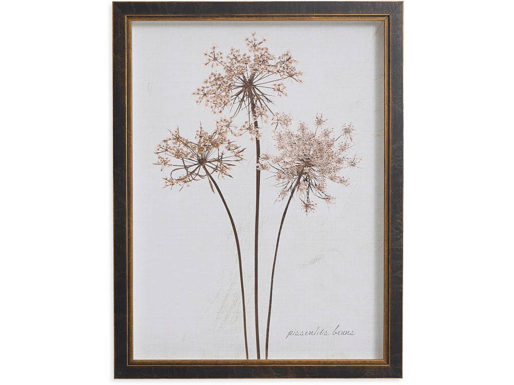 Sepia Pressed Dandelions - main image