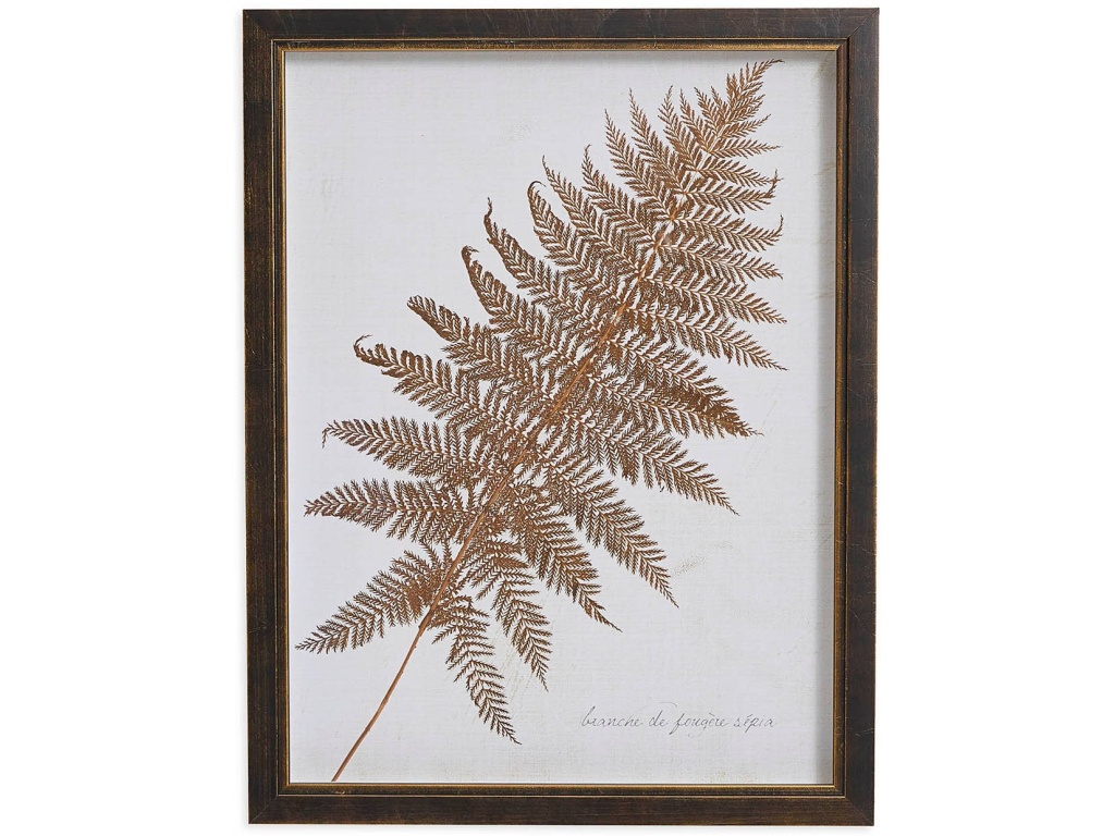 Sepia Fern Frond - main image