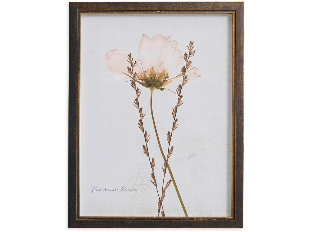 Sepia Pressed Wildflower II - main image