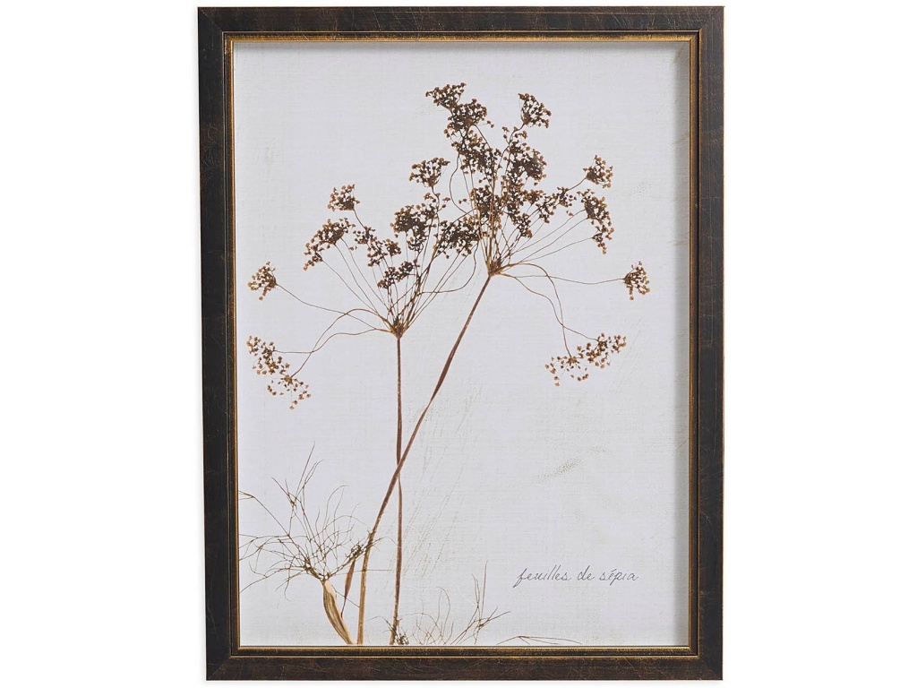 Sepia Queen Anne's Lace - main image