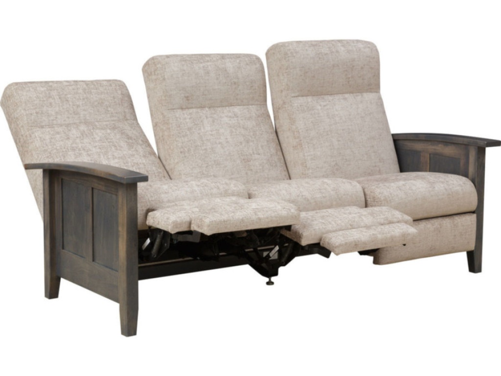 Recliner Sofa 563 - image 1