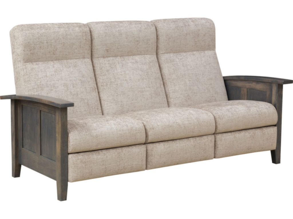 Recliner Sofa 563 - main image