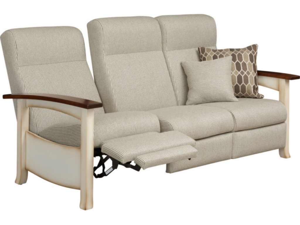 Recliner Sofa 763 - image 1
