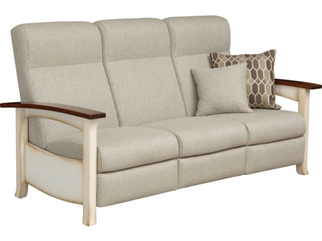 Recliner Sofa 763 - main image