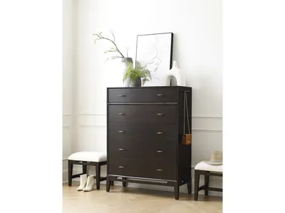 Chest - Alternative View