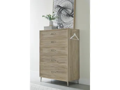 Chest - Alternative View
