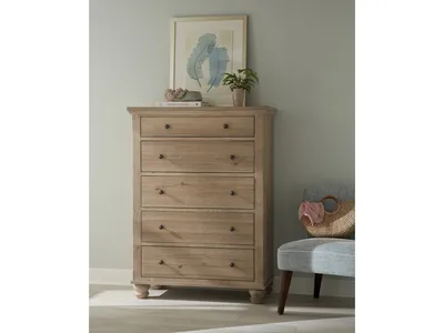 Chest - Alternative View
