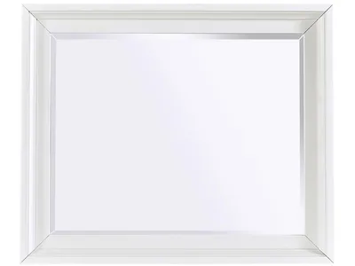 Chesser Mirror