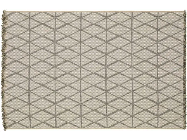 Lupita B2172 Rug