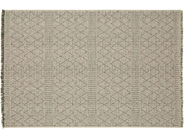 Lupita B2175 Rug