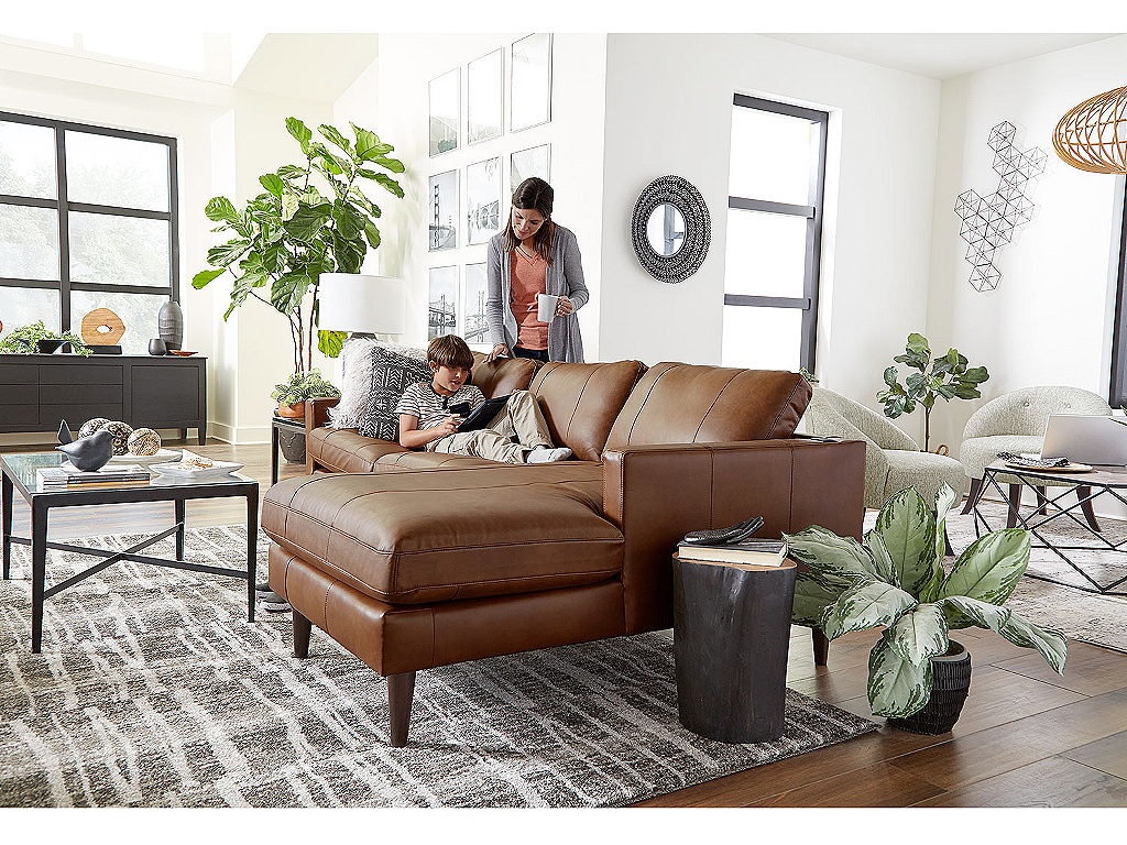 Trafton Leather Chofa - image 4