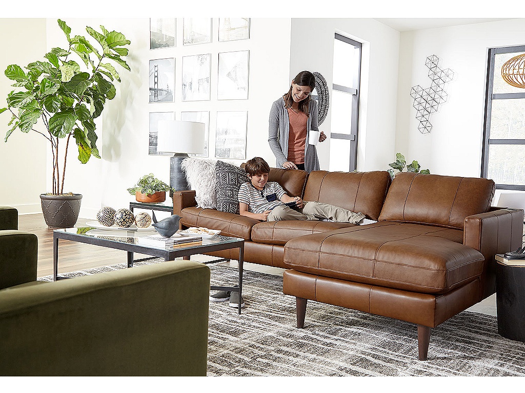 Trafton Leather Chofa - image 5