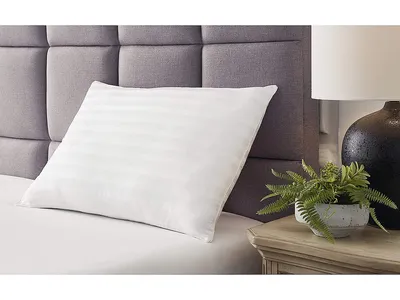 Zephyr 2.0 Pillow (Set of 2)(9/Case)