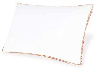 Zephyr 2.0 3-in-1 Pillow (6/Case)