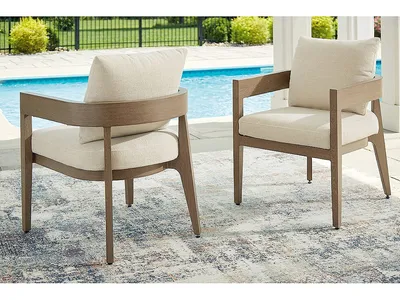 Serene Bay Outdoor Dining Arm Chair with Cushion (Set of 2)