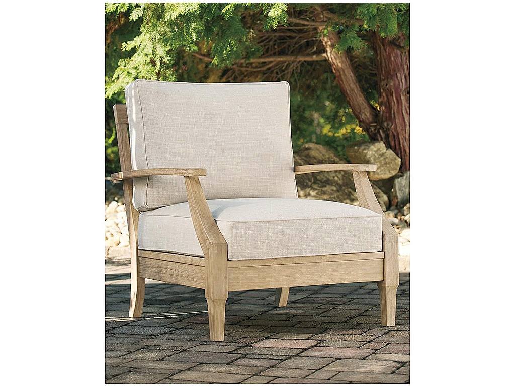 Clare View Lounge Chair with Cushion - image 1