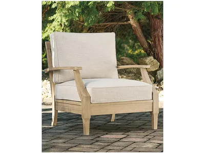 Clare View Lounge Chair with Cushion