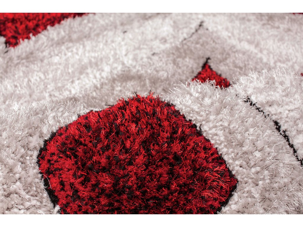 5' X 7' Area Rug - image 1
