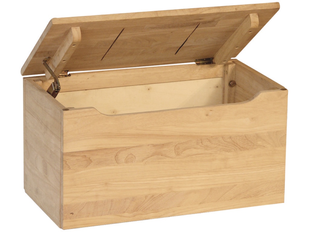 22'' Storage Chest / Toy Chest - image 1