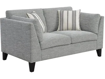 Loveseat W / 2 Accent Pillows-Gray