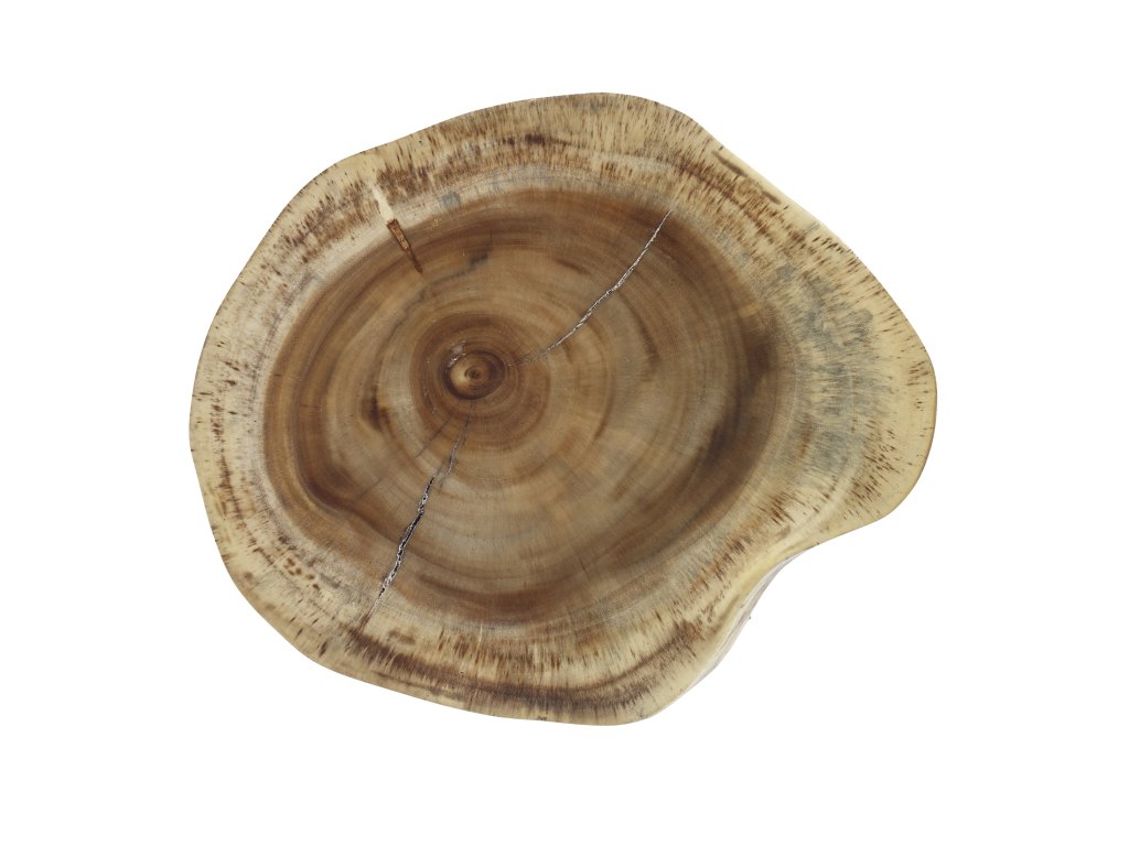Branch Accent Table - image 2