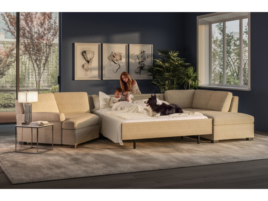 Gaines Comfort Sleeper - image 2