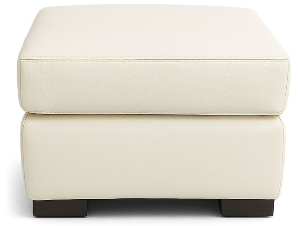 Danford Ottoman - image 1