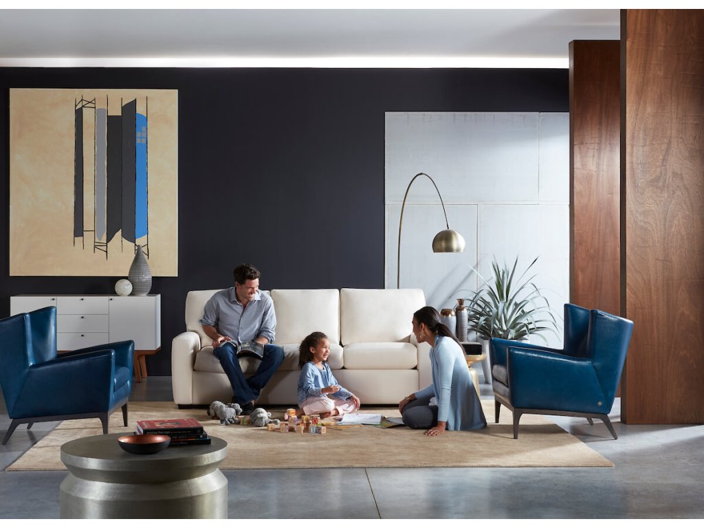 Carson Sofa - image 1
