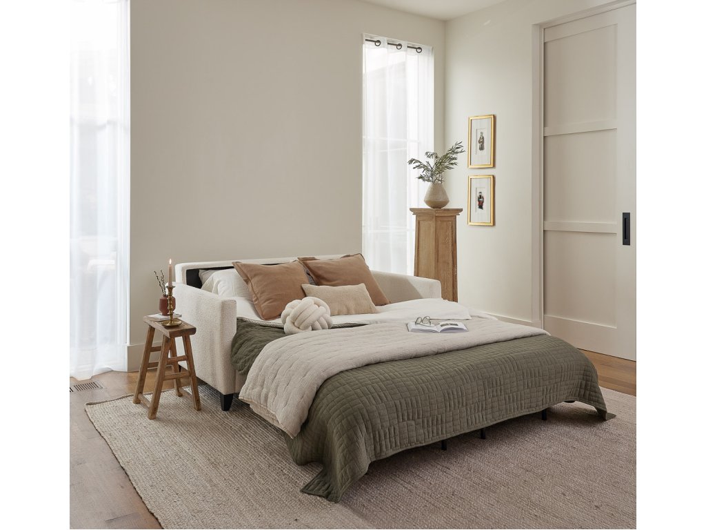 Naomi Comfort Sleeper - image 1