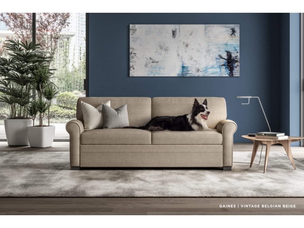 Gaines Comfort Sleeper - image 3