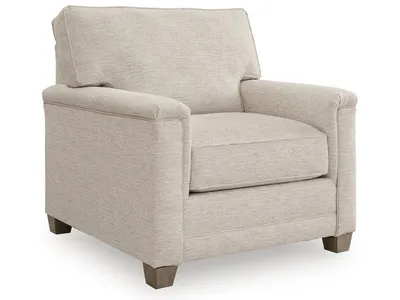 Rayne-Cove Chair