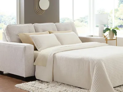 Larimer Queen Sofa Sleeper