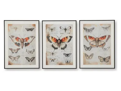 Jossletts Wall Art (Set of 3)