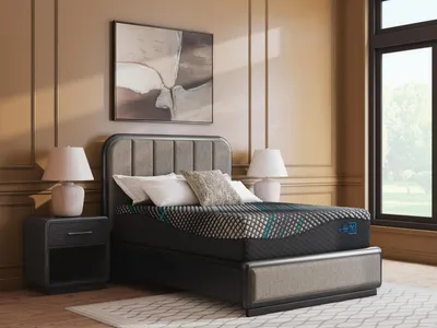 Millennium 2.0 Hybrid 16 Inch California King Mattress - Alternative View