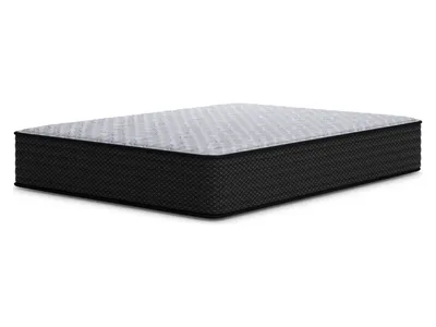 Anniversary Edition Plush Twin Mattress