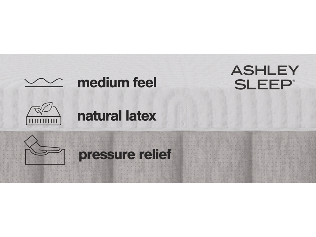 Terra Sleep Medium King Mattress - image 13