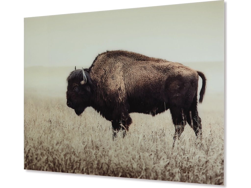 Brutus Wall Art - main image