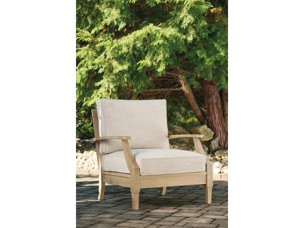 Clare View Lounge Chair with Cushion - image 5