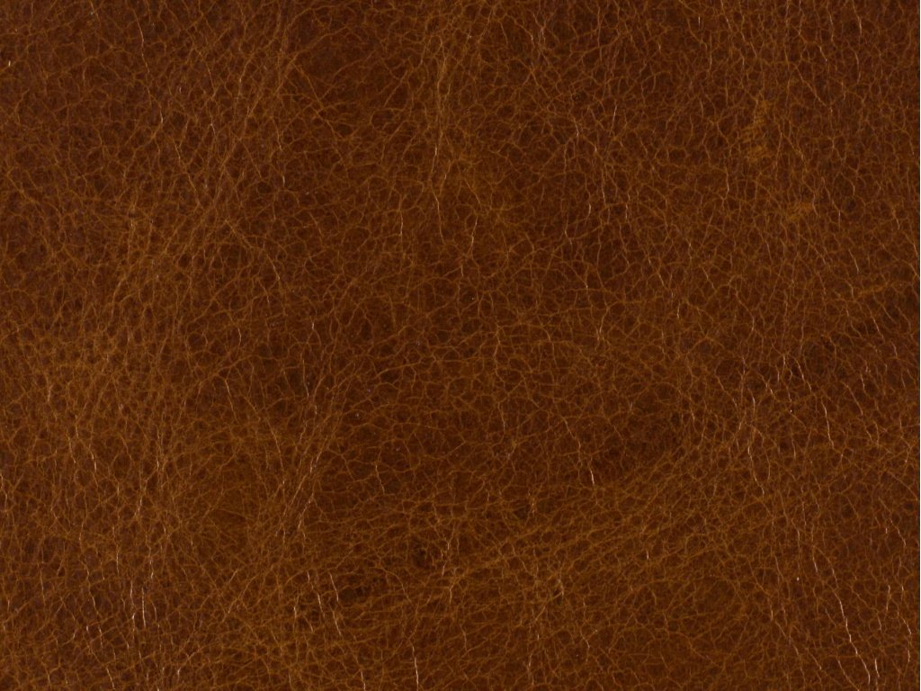 Shasta Recliner - image 3