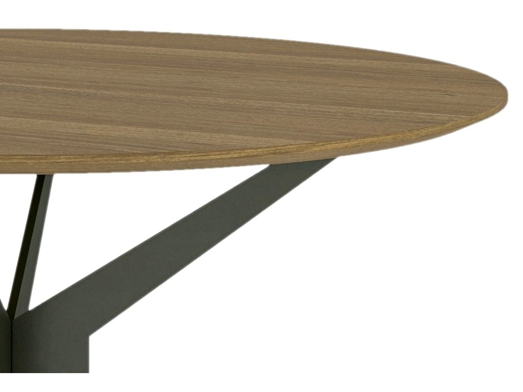 Jefferson Round Table - image 1