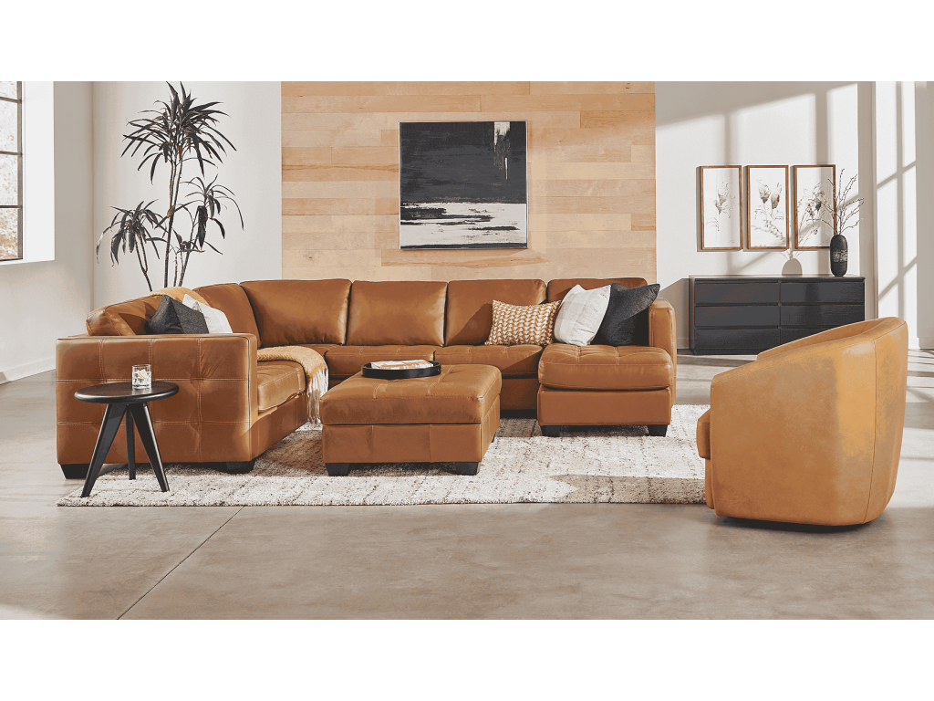 Barrett - main image