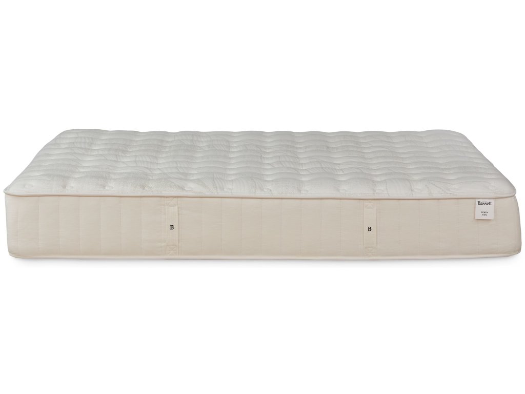 Renew Mattress - image 1