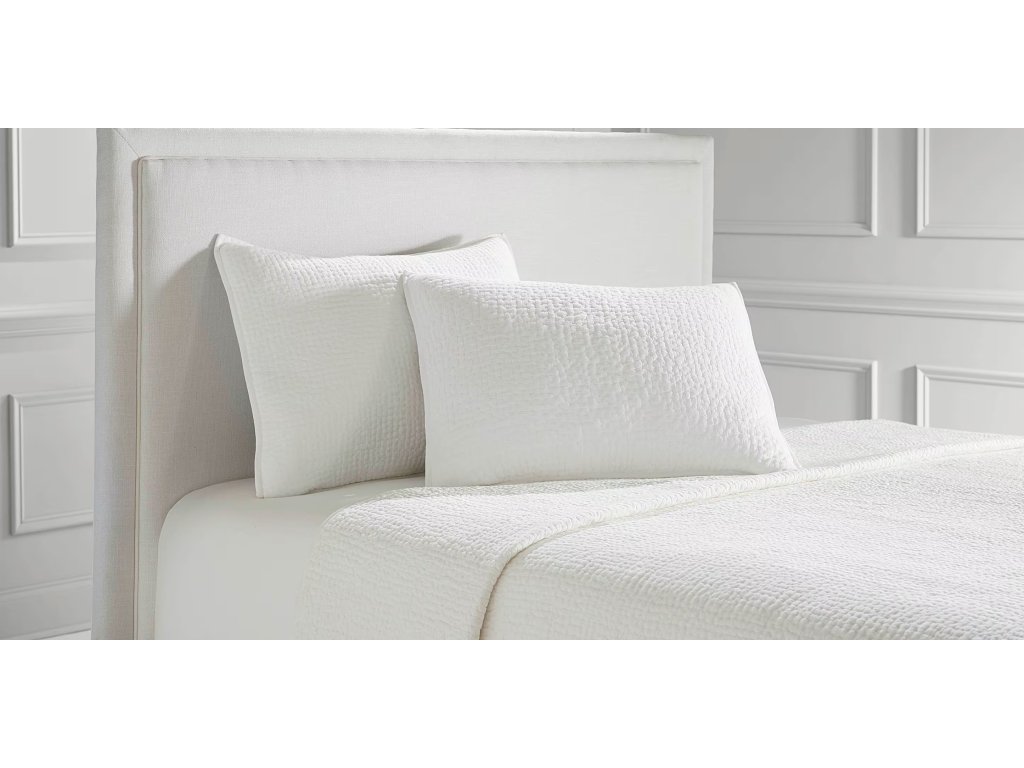 Danica Pillow Shams - image 1