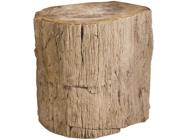 Petrified Accent Table